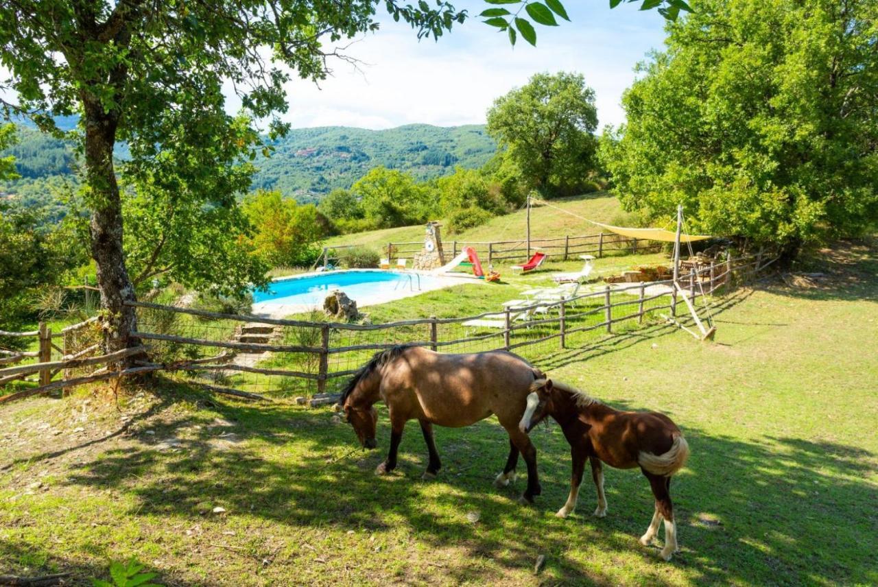 Villa Bellavista Arezzo Exterior foto