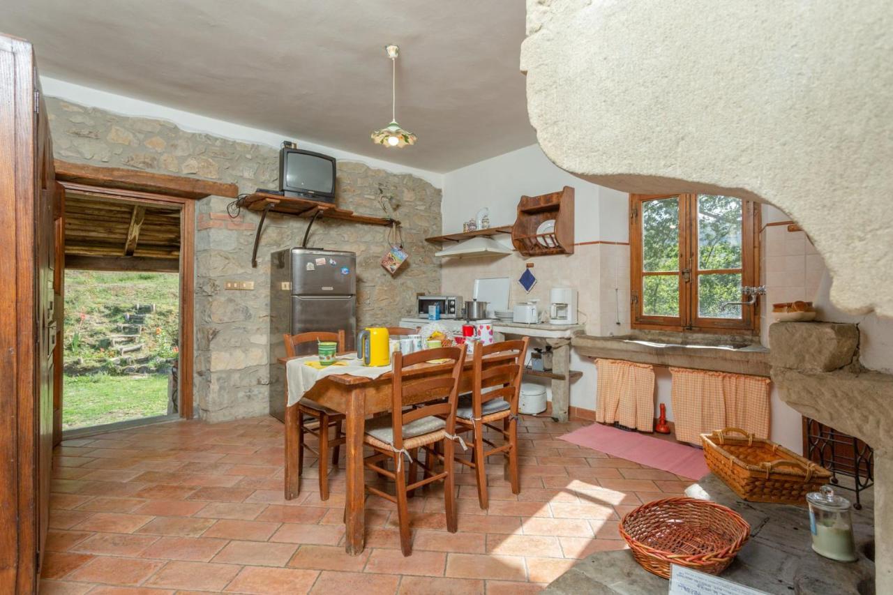 Villa Bellavista Arezzo Exterior foto